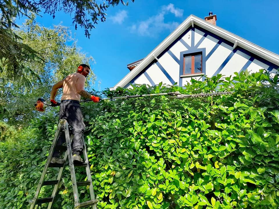 207302252_4469094286444388_8478269311949135252_n 207302252_4469094286444388_8478269311949135252_n