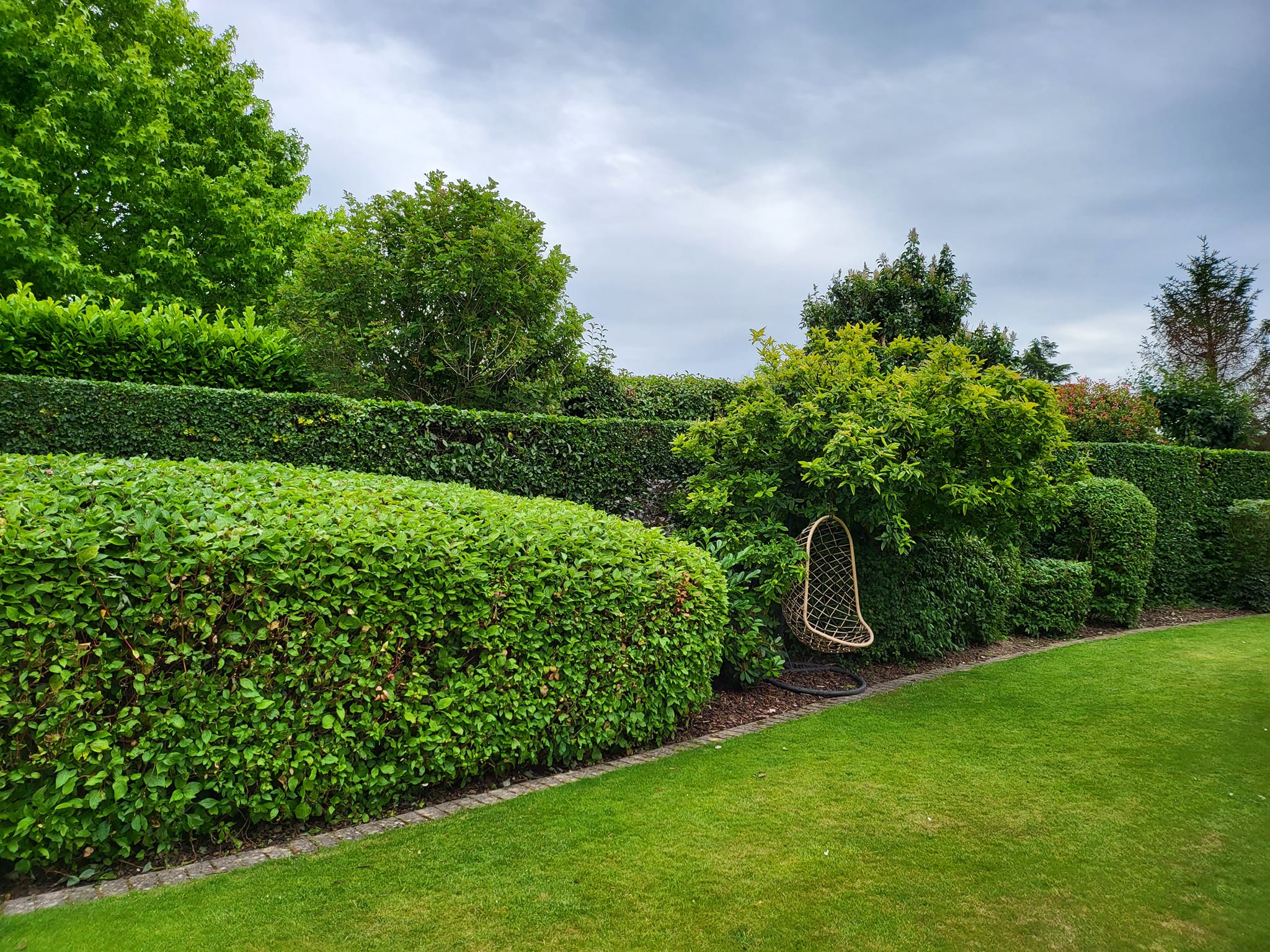 345234235_922368369024680_3087385665806751466_n 345234235_922368369024680_3087385665806751466_n